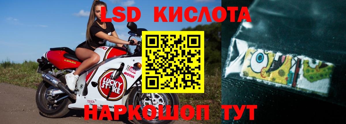 Лсд 25 экстази ecstasy  блэк спрут зеркало  LSD-25 экстази ecstasy  Острогожск  Вход с VPN 