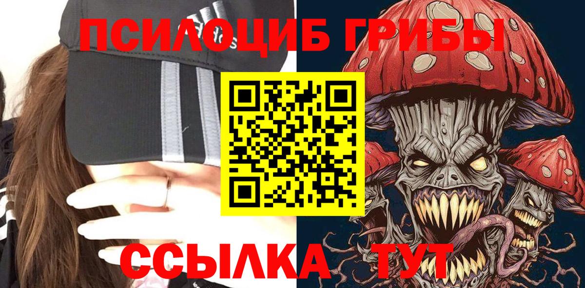 Острогожск  Псилоцибиновые грибы Psilocybe  Вход с VPN 