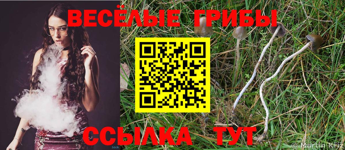 Галлюциногенные грибы мухоморы Острогожск